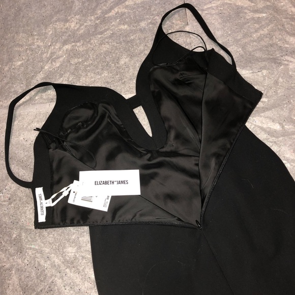 SOLD Elizabeth and James Myla Dress. New with tags - Picture 3 of 6